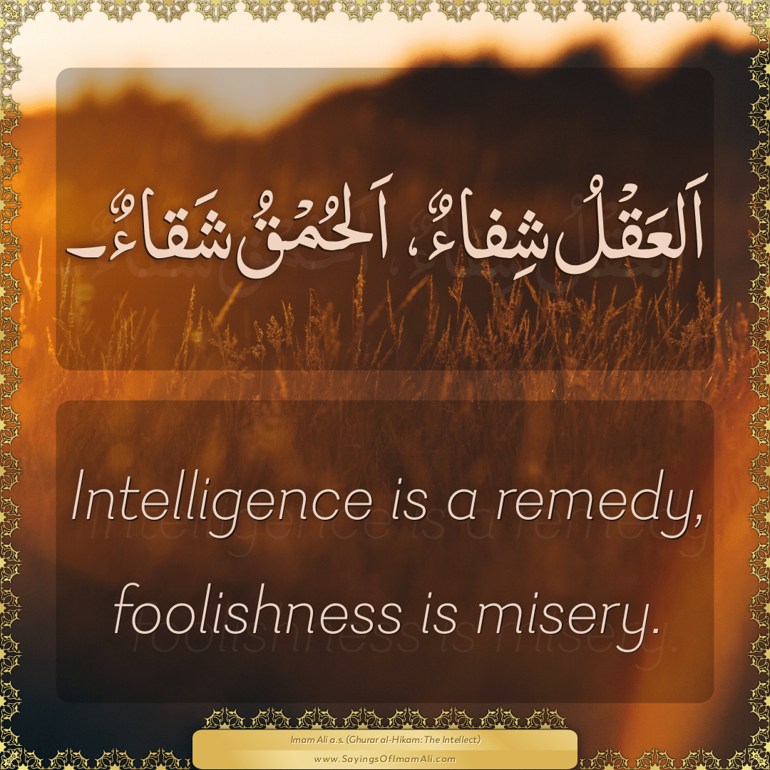 Intelligence is a remedy, foolishness is misery.